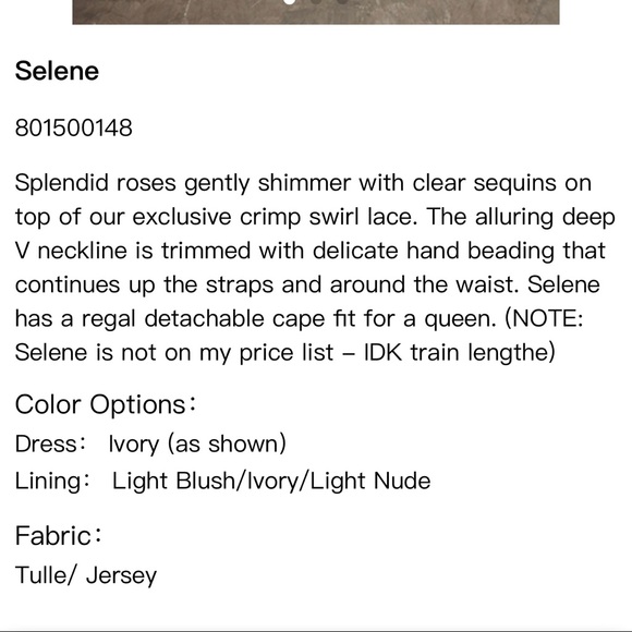 Brand New Chic Nostalgia Selene Wedding Dress - Picture 3 of 9